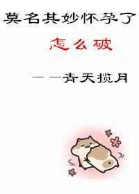 莫名其妙的怀孕何晴