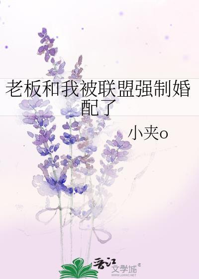 被老板和其他老板一起玩