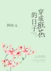 穿成班花的日子免费阅读全文
