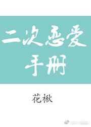 二次恋爱手册免费阅读