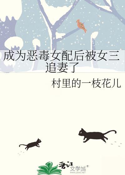 成为恶毒女配后被女三追妻了余可情