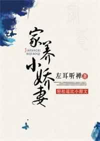 家养小首辅百度百科