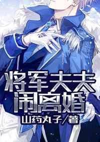 将军夫夫闹离婚 完结 番外
