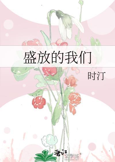 盛放是哪个电视剧的女主角名字