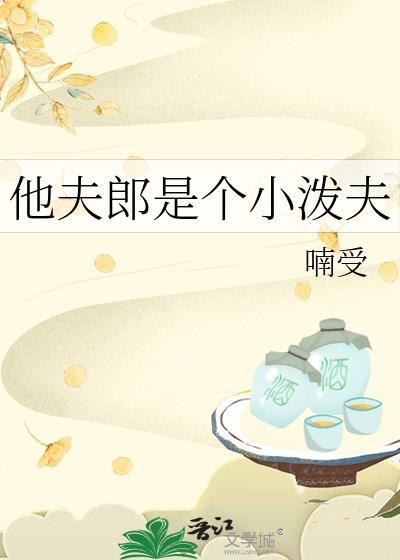 小夫郎他又甜又凶 作者八声甘洲