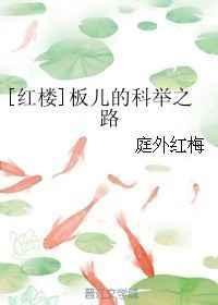 红楼梦板儿是谁