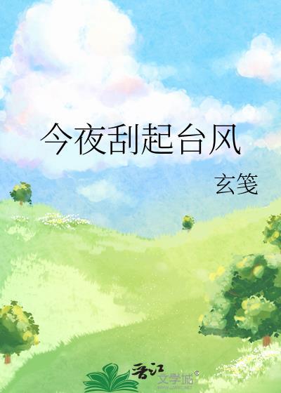 今夜刮起台风免费阅读