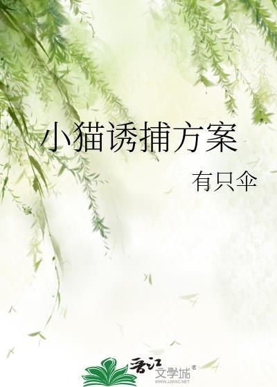 小猫诱捕方案设计