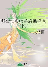 掰弯情敌