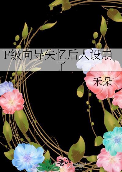 f级向导不想升级全文免费笔趣阁
