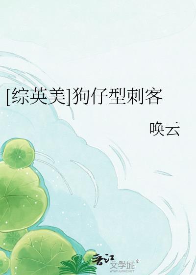 [综英美]狗仔型刺客